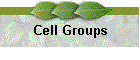  Cell Groups 